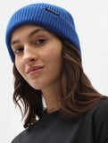 DICKIES - Woodworth - Bonnet /True Blue